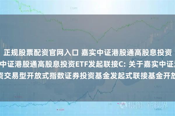正规股票配资官网入口 嘉实中证港股通高股息投资ETF发起联接A,嘉实中证港股通高股息投资ETF发起联接C: 关于嘉实中证港股通高股息投资交易型开放式指数证券投资基金发起式联接基金开放日常申购、赎回及定期定额投资业务的公告